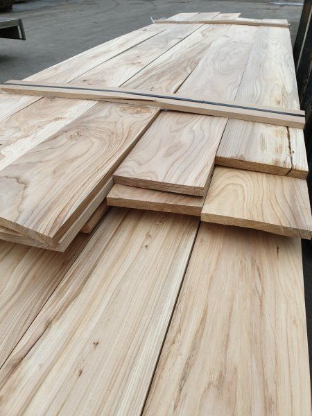 Houthandel in Roosendaal