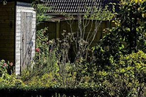 Bedrijven in Roosendaal